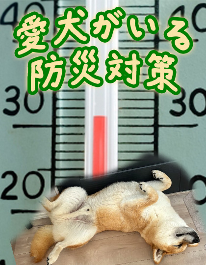 愛犬がいる防災対策